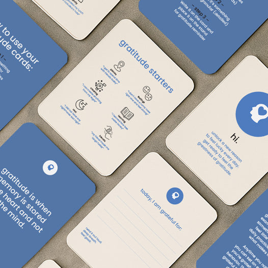 The Gratitude Practice™